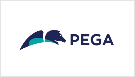 Pega DX Alliance Partner